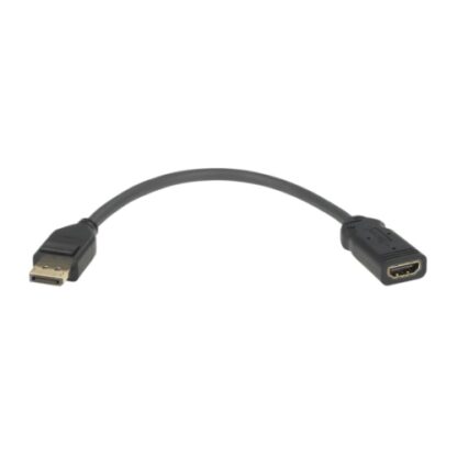 01042024660b319996507 Jedel DisplayPort Male to HDMI Female Converter Cable, Black - Black Antler