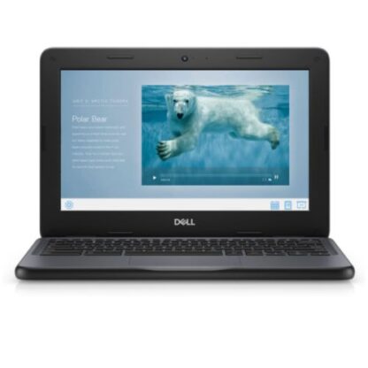 01042024660b3d28e6ed8 Dell Chromebook 3100, 11.6", Celeron N4020, 4GB, 16GB eMMC, Webcam, Wi-Fi, No LAN, USB-C, Chrome OS - Black Antler