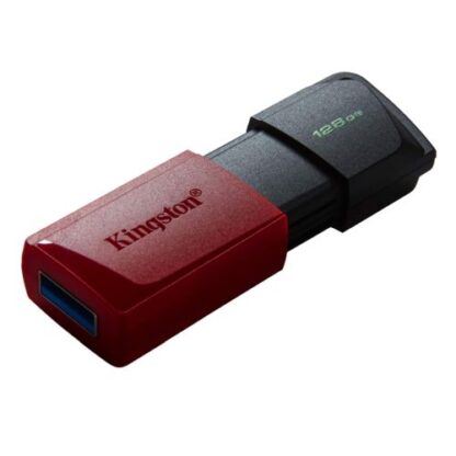 02042024660b5fb937d9f Kingston 128GB DataTraveler Exodia M USB 3.2 Gen1 Memory Pen, Moving Cap, Key Ring - Black Antler