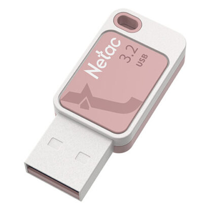 02042024660b5fc10ca16 Netac 256GB UA31 USB 3.2 Memory Pen, Key Ring, Smoothies Pink - Black Antler