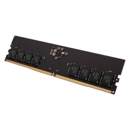 16042024661e7dc769bf3 Team Elite 16GB, DDR5, 4800MHz (PC5-38400), CL40, 1.1V, ECC, PMIC, DIMM Memory - Black Antler