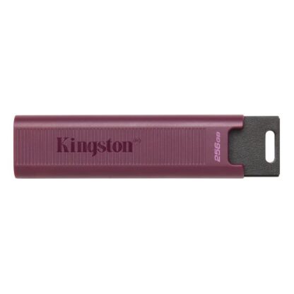 2308202466c7fda8732e6 Kingston 256GB DataTraveler Max USB 3.2 Gen2 Memory Pen, Sliding Cap, LED Status, R/W 1,000/900 MB/s - Black Antler