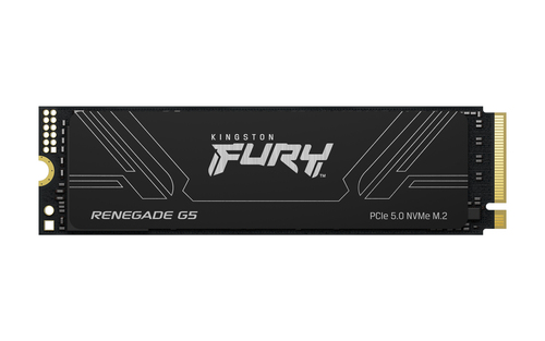 Kingston FURY Renegade 4TB PCIe Gen 5.0 NVMe M.2 SSD