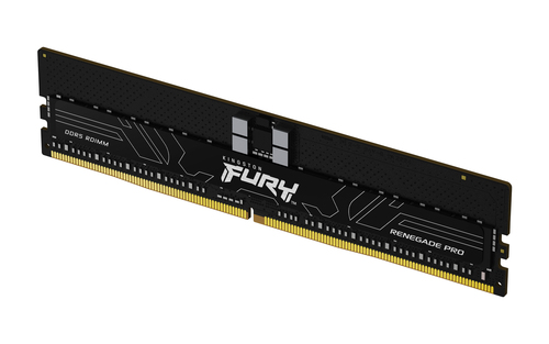 Kingston FURY Renegade 16GB DDR5 5600MHz ECC CL28 EXPO