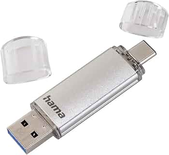 HAMA C-Laeta USB-C Flash Drive 256GB Silver